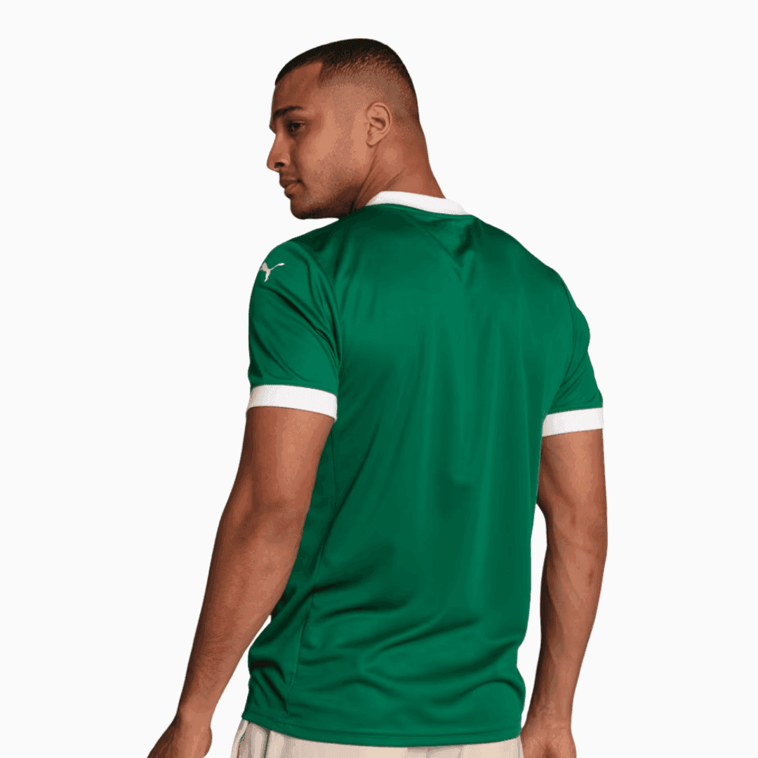 Camisa Puma Palmeiras 2025/26 I - Piquerez N° 22