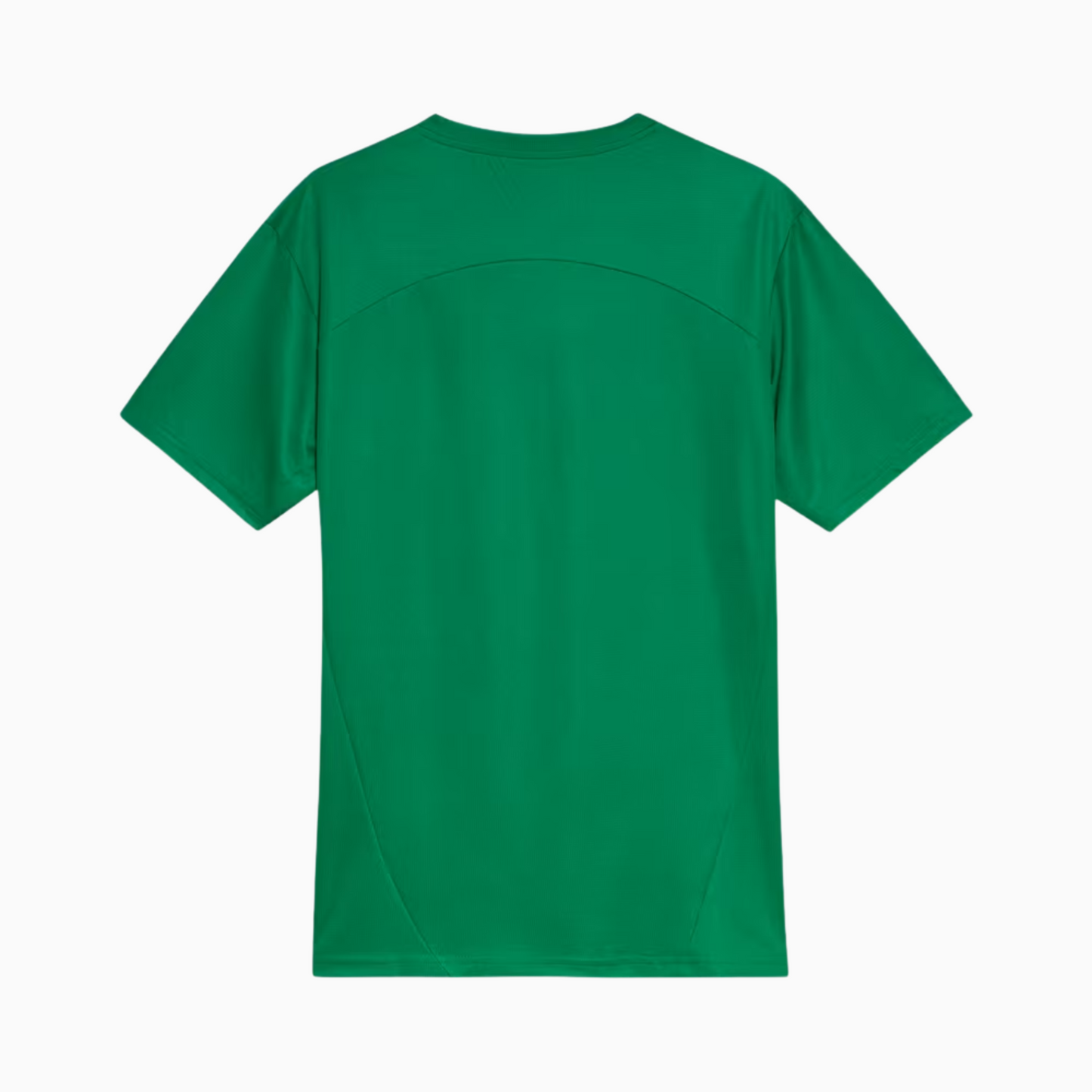 Camisa Palmeiras 2025 – Treino