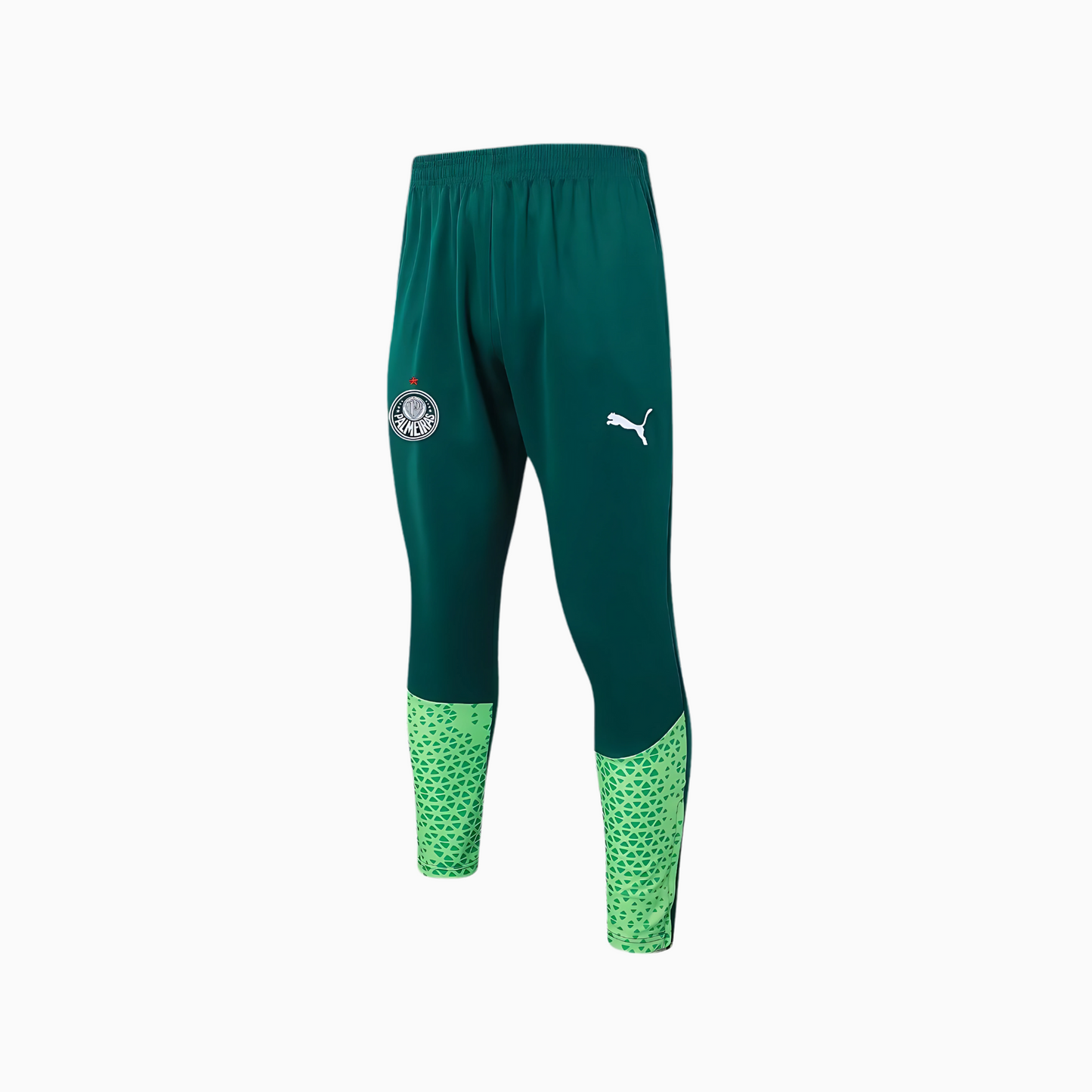 Conjunto de Treino Puma Palmeiras 2024/25 II – Masculino
