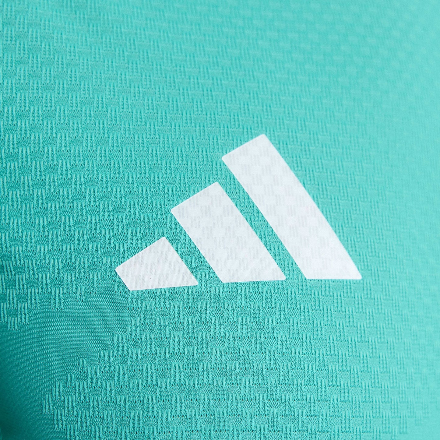 Camisa Goleiro Manga Longa Alemanha 2026/27 I Jogador